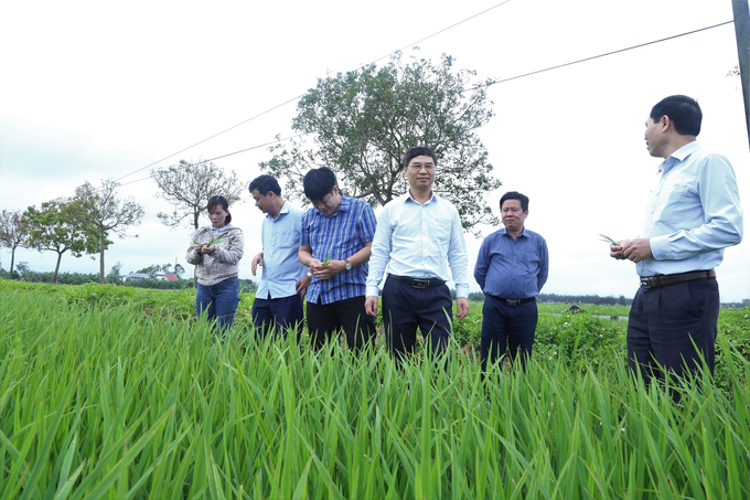 Ông Nguyễn Quý Dương, Phó Cục trưởng Cục Bảo vệ thực vật (thứ 4 từ trái sang) cùng đoàn công tác kiểm tra thực địa đồng ruộng tại Nam Định, Ninh Bình. Ảnh: Lâm Hùng.