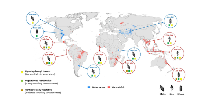 Agricultural areas with high correlation between dry and wet conditions related to El Niño. Photo: FAO