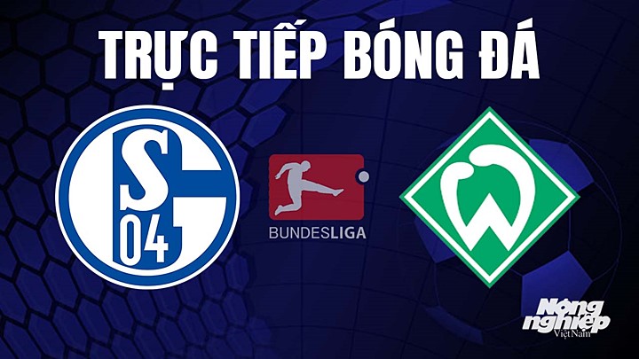 Trực tiếp bóng đá Bundesliga (VĐQG Đức) 2022/23 giữa Schalke 04 vs Werder Bremen hôm nay 29/4/2023