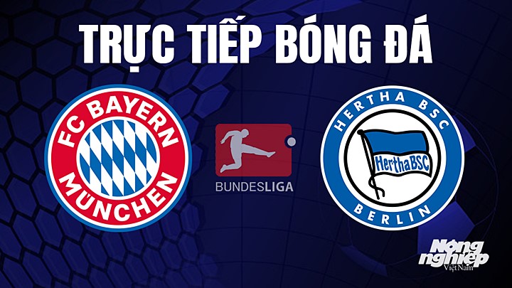 Trực tiếp bóng đá Bundesliga (VĐQG Đức) 2022/23 giữa Bayern Munich vs Hertha BSC hôm nay 30/4/2023