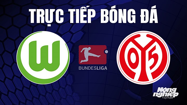 Trực tiếp bóng đá Bundesliga (VĐQG Đức) 2022/23 giữa Wolfsburg vs Mainz 05 hôm nay 30/4/2023