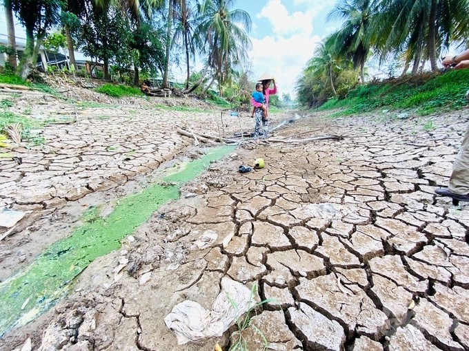 For coastal areas, the dry season 2023 in the Mekong Delta is coming to an end, so the risk of drought and salinity has passed. Photo: Le Hoang Vu.