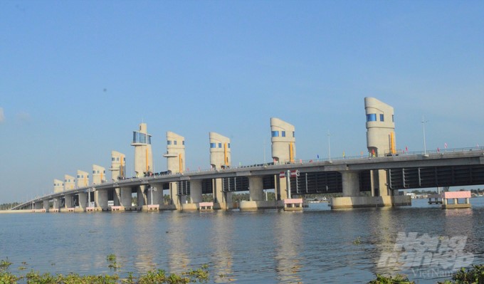 Irrigation structures, which work to prevent saline intrusion in the Mekong Delta, need to actively store fresh water for daily life and agricultural production in the dry season of 2024. Photo: Ho Thao.