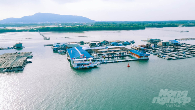 'Vương quốc hàu' Long Sơn đang trở thành điểm sáng trong việc phát triển nông trồng thủy sản gắn liền với phát triển du lịch sinh thái. Ảnh: Minh Sáng.