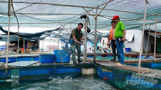 Trên địa bàn tỉnh đang áp dụng nhiều công nghệ trong nuôi trồng thủy sản, nhờ đó cho năng suất cao và đáp ứng được thị trường trong nước và xuất khẩu. Ảnh: Lê Bình.