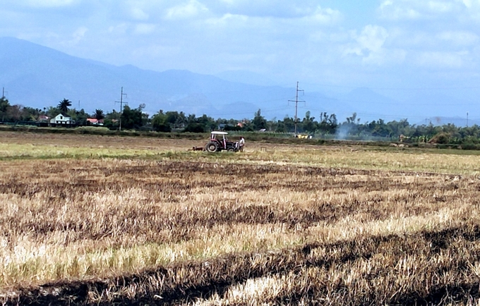 Nông dân Khánh Hòa cày ải chuẩn bị bước vào vụ hè thu. Ảnh: Kim Sơ.