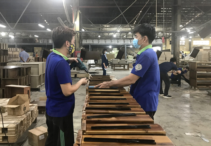 Producing wooden furniture for export at a factory in Binh Duong. Photo: Son Trang.