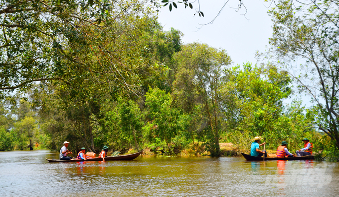 Tourism experience in the Ramsar area of ​​Tram Chim National Park leaves visitors with unforgettable memories. Photo: Hoang Vu.