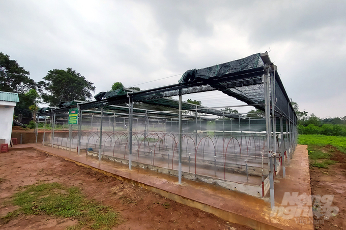 Vườn ươm cải tiến của Hợp tác xã Lâm nghiệp bền vững Keo Sơn được xây dựng từ Dự án hỗ trợ xây dựng các vườn ươm cải tiến sản xuất cây giống chất lượng cao. Ảnh: Võ Dũng.