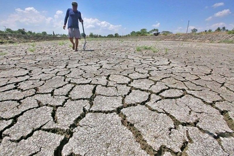 El Nino gây ra hiện tượng thời tiết cực đoan như hạn hán, nắng nóng. Ảnh: Philstar. 