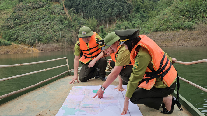 Cán bộ kiểm lâm huyện Yên Lập thực hiện tuần tra, kiểm soát rừng khu vực rừng tại hồ thủy lợi Ngòi Giành (huyện Yên Lập, Phú Thọ). Ảnh: Hải Đăng.