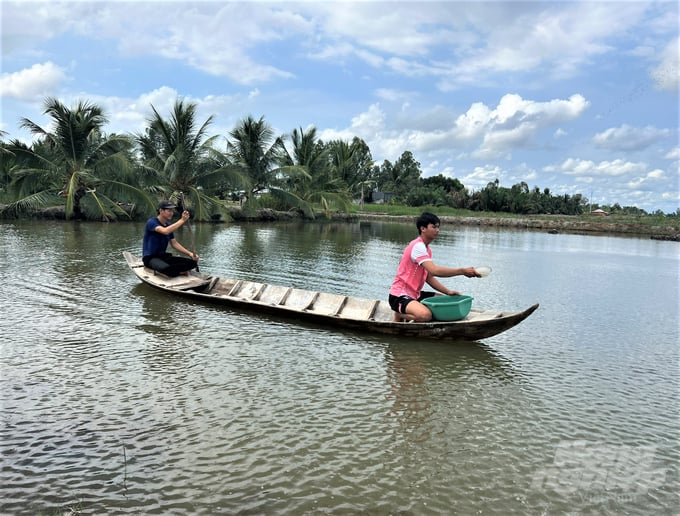 Bac Lieu currently has 49,800 shrimp farms, but so far, only approximately 7% of the farms have been granted a farming area code. Photo: Trong Linh.