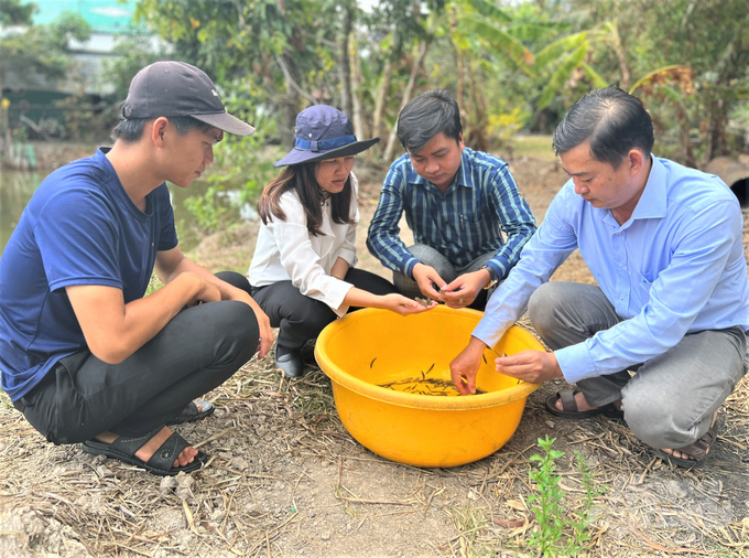 The granting of farming area codes in Bac Lieu is quite slow due to the majority of small farming households and people do not understand the purpose of registration for key aquatic items. Photo: Trong Linh.