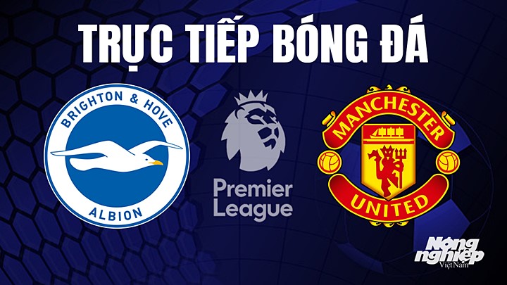 Trực tiếp bóng đá Ngoại hạng Anh giữa Brighton vs Man United hôm nay 5/5/2023