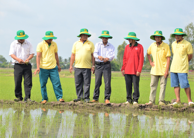 TS Hồ Văn Chiến (đứng giữa) đang trao đổi với nông dân tham gia Chương trình Canh tác lúa thông minh về quy trình quản lý dịch hại tổng hợp trên đồng ruộng. Ảnh: Trung Chánh.