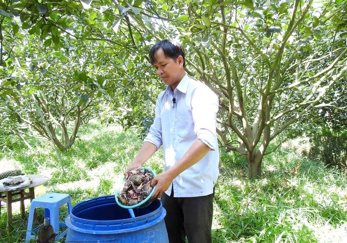 Nông dân tận dụng phế phẩm nông nghiệp ủ làm phân bón hữu cơ. Ảnh: Sơn Trang.