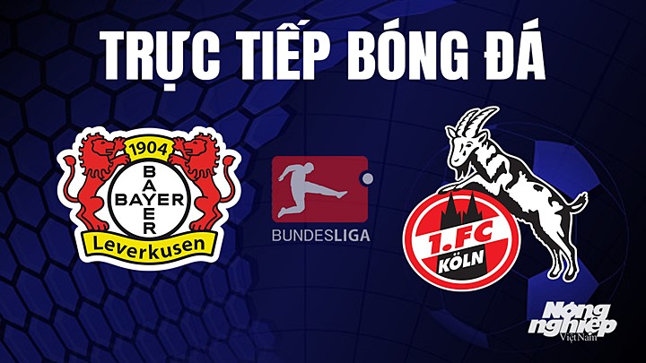 Trực tiếp bóng đá Bundesliga (VĐQG Đức) 2022/23 giữa Bayer Leverkusen vs Koln hôm nay 6/5/2023