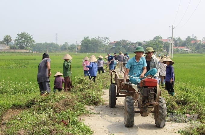 Hơn 500 người là cán bộ, nhân dân xã Khôi Kỳ tham gia dọn dẹp và mở rộng tuyến đường liên xóm Chùa và Gò Thang.