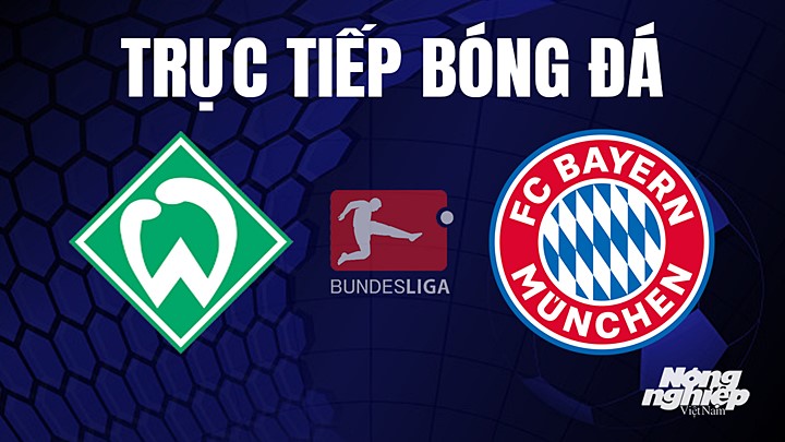 Trực tiếp bóng đá Bundesliga (VĐQG Đức) 2022/23 giữa Werder Bremen vs Bayern Munich hôm nay 6/5/2023