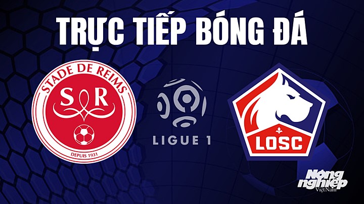 Trực tiếp bóng đá Ligue 1 (VĐQG Pháp) 2022/23 giữa Reims vs Lille ngày 7/5/2023