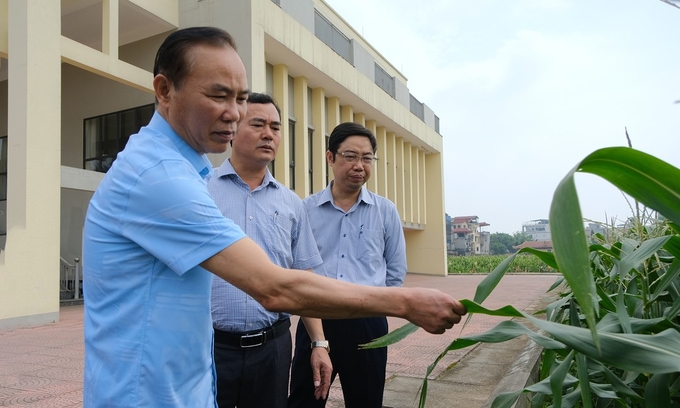 Deputy Minister Phung Duc Tien highly appreciated the glorious history of the Maize Research Institute. Photo: Bao Thang.