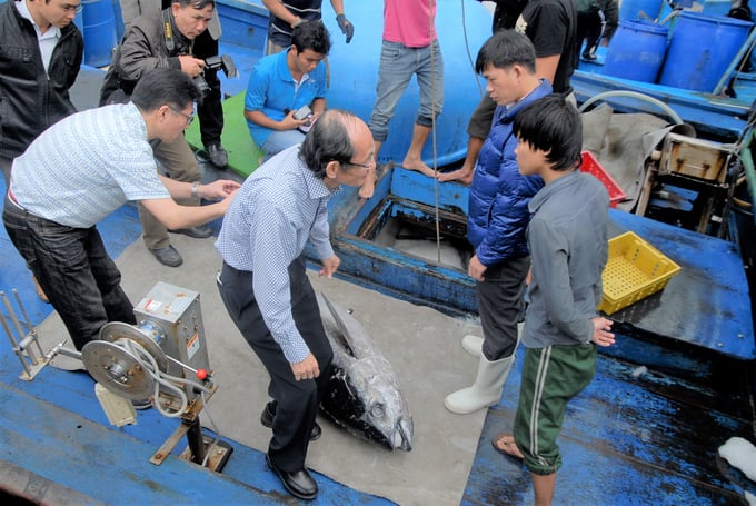 Ngư dân Bình Định câu cá ngừ đại dương bằng thiết bị câu của Nhật Bản. Ảnh: Đình Thung.