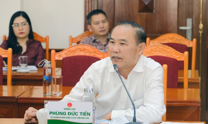 Deputy Minister of Agriculture and Rural Development Phung Duc Tien suggested many problems related to imported meat. Photo: Bao Thang.