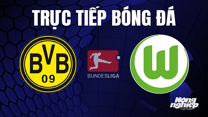 Trực tiếp bóng đá Bundesliga (VĐQG Đức) 2022/23 giữa Dortmund vs Wolfsburg hôm nay 7/5/2023