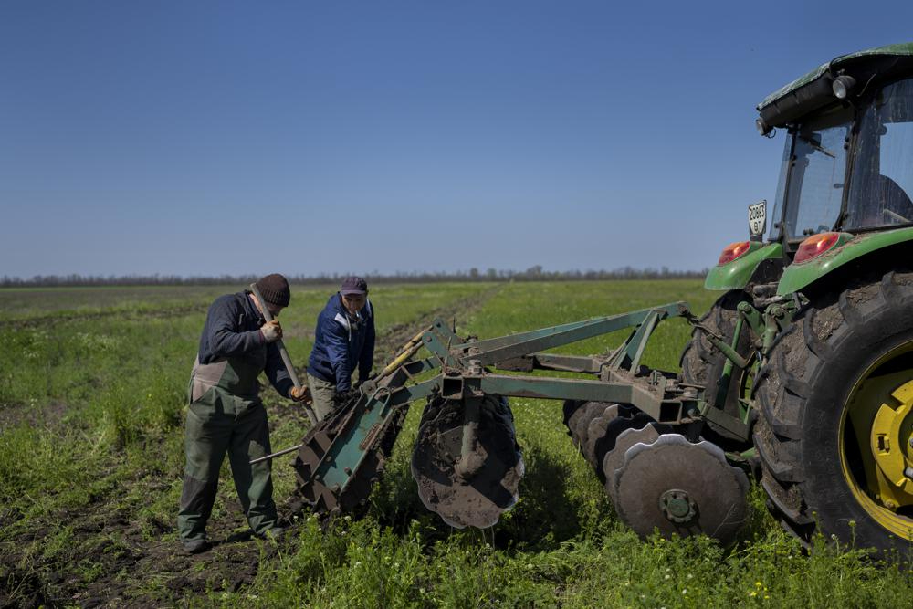 Nông dân gỡ bùn bám trên bánh xe kéo trên cánh đồng tại vùng Kherson, Ukraine. Ảnh: AP. 