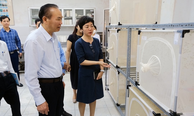 Deputy Minister Phung Duc Tien visited the fruit fly research lab at PPRI. Photo: Bao Thang.