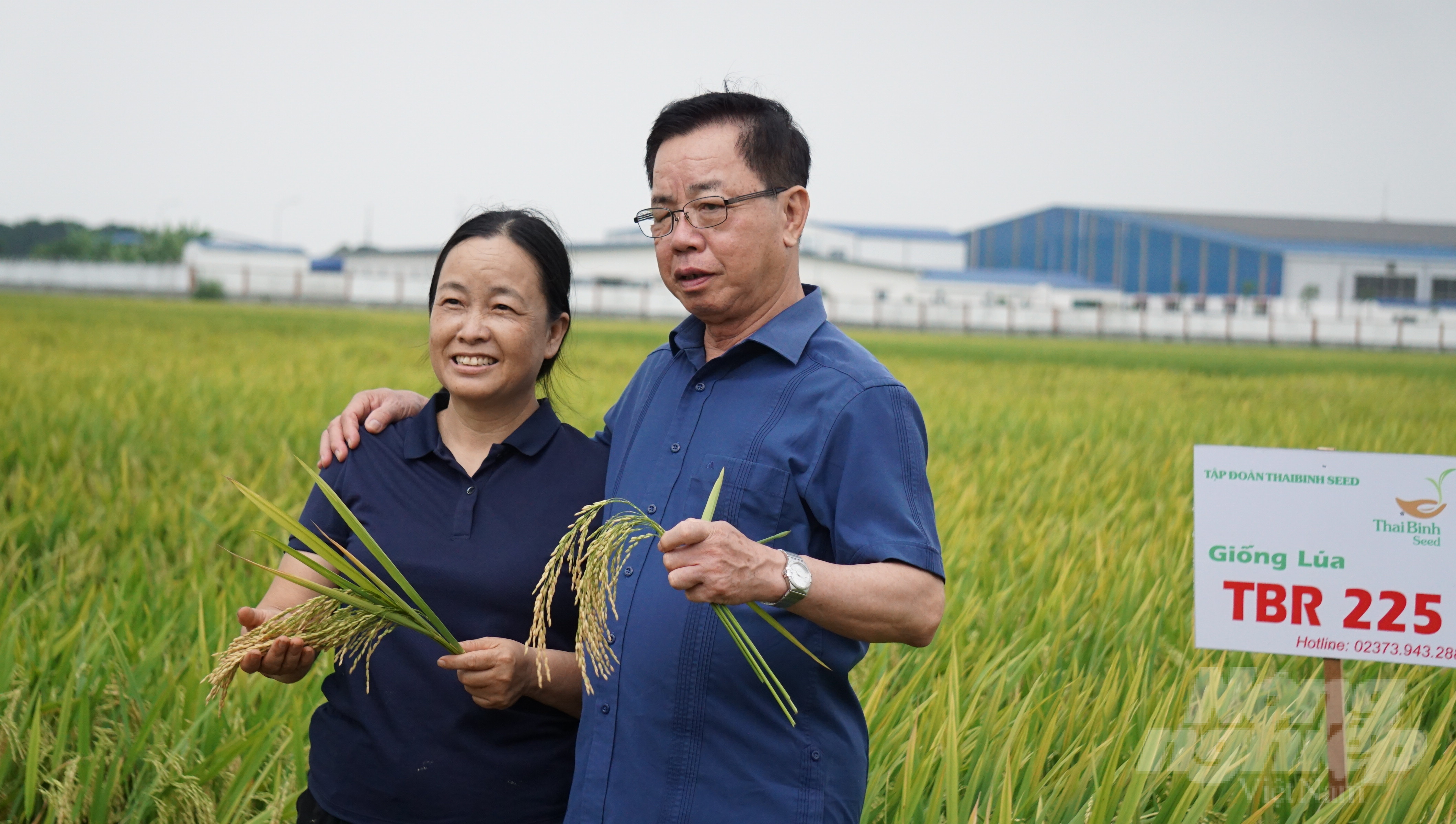 Mô hình liên kết sản xuất lúa của Tập đoàn ThaiBinh Seed tại xã Trường Sơn (Nông Cống) và Xuân Minh (Thọ Xuân) đang phát huy hiệu quả, đem lại thu nhập ổn định cho bà con nông dân. Với 220ha giống lúa TBR 225 và TBR 97 liên kết tại 2 địa phương nói trên cũng cho thấy nhiều ưu điểm vượt trội so với các giống lúa khác. Năng suất dự kiến lần lượt là 8 tấn/ha và 7 tấn/ha. (Trong ảnh: Ông Trần Mạnh Báo, Chủ tịch HĐQT, Tổng Giám đốc Tập đoàn ThaiBinh Seed chụp ảnh kỷ niệm cùng nông dân xã Xuân Minh, huyện Thọ Xuân).