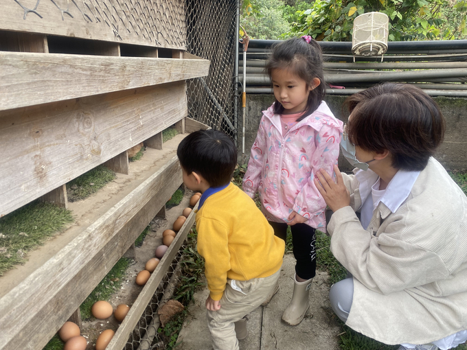 Học sinh tham gia giáo dục thực nông tại Bách Cô Trang được hướng dẫn trải nghiệm công đoạn làm bánh thủ công từ nấm và trứng gà. Ảnh: Nguyên Huân.