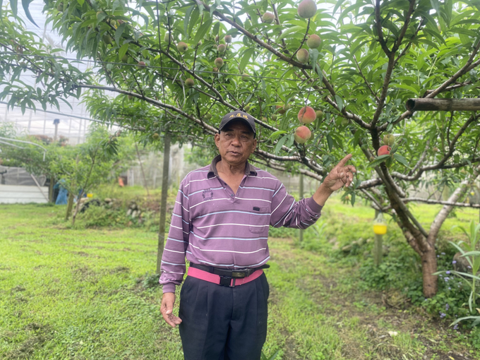 Ông Trần Hùng Vinh chia sẻ thời điểm trong năm các loại trái cây tại Nông trại Tân Phong chín và được thu hoạch. Ảnh: Nguyên Huân.