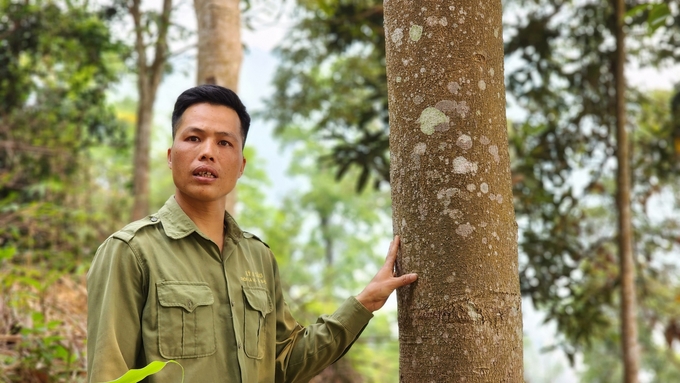 Lý A Sẩu và cánh rừng bản La Ve. Ảnh: Văn Việt. 
