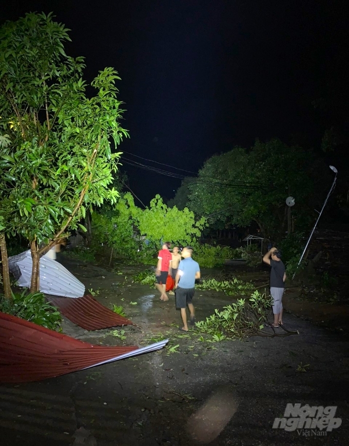 Mưa lớn đêm 7, sáng 8/5 khiến nhiều nhà dân cùng cây xanh ở huyện Sơn Dương, tỉnh Tuyên Quang bị tốc mái, đổ gãy. Ảnh: PN.