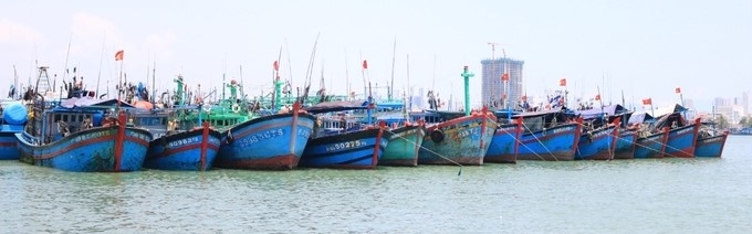 Offshore fishing fleet moored in front of Hon Ro fishing port, Nha Trang city (Khanh Hoa). Photo: Kim So.