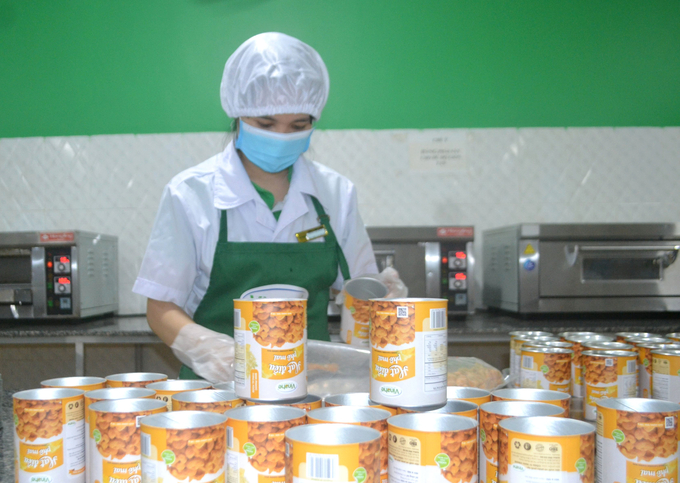 Deep-processed cashew nuts being packaged at Vinahe Co., Ltd., Binh Phuoc. Photo: Son Trang.