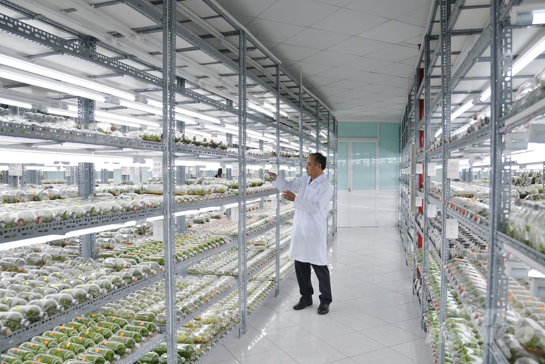 Phòng thí nghiệm nuôi cấy mô tế bào thực vật phục vụ công tác nhân giống tại Khu Nông nghiệp công nghệ cao TP.HCM. Ảnh: Nguyễn Thủy.