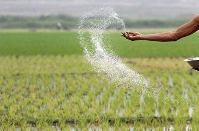 Sinag head Rosendo So urged President Marcos to immediately revoke MO 32 issued by DA Undersecretary for rice industry development Leocadio Sebastian on April 27 to set the guidelines on the distribution and use of biofertilizers. Photo: Philstar.com 