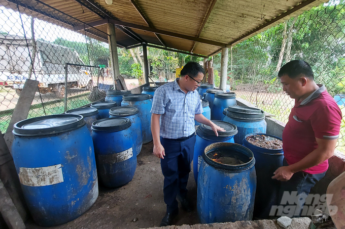 Anh Nguyễn Đăng Vương (áo đỏ), chủ trang trại chuyên gom cơm thừa canh cặn về ủ lên men để chăn nuôi theo hướng hữu cơ. Ảnh: Võ Dũng.