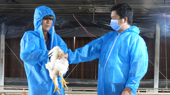 Cán bộ thú y hướng dẫn người chăn nuôi gia cầm kiến thức về an toàn dịch bệnh. Ảnh: Trần Trung.