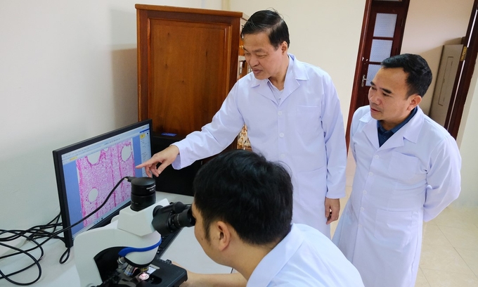 PhD. Vo Dai Hai and Director of Forest Industry Research Institute Bui Duy Ngoc observe wood specimen in the inspection room. Photo: Bao Thang.