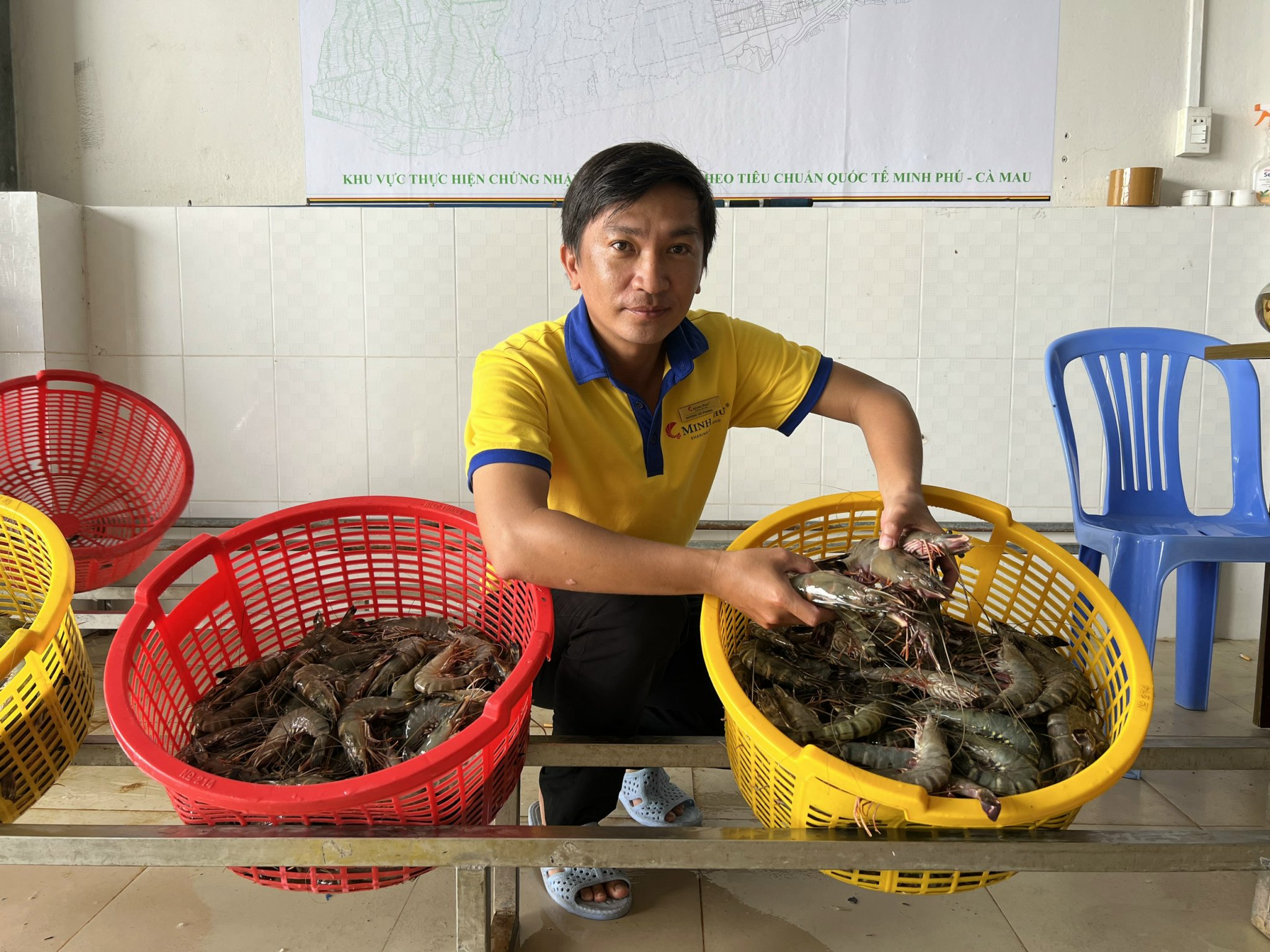 Với kỹ thuật nuôi thuận tự nhiên, tôm sinh thái là hướng phát triển sản xuất bền vững cho bà con nông dân. Ảnh: Văn Vũ.