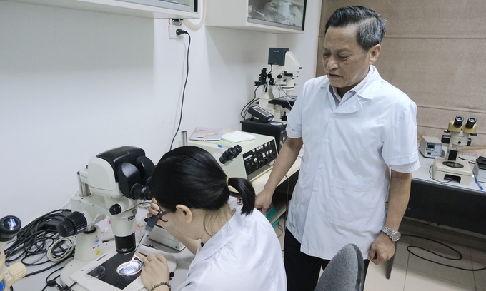 Director Pham Cong Thieu supervises the process of creating cloned embryos. Photo: Bao Thang.