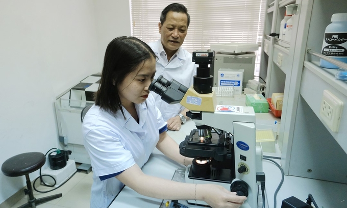 Livestock sperm freezing practice at the National Institute of Animal Science. Photo: Bao Thang.