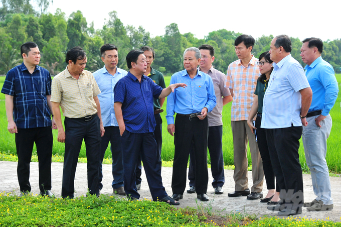 Tại buổi làm việc với Tập đoàn Lộc Trời, Bộ trưởng Bộ NN-PTNT Lê Minh Hoan và lãnh đạo tỉnh An Giang ủng hộ Lộc Trời tham gia vào Đề án phát triển bền vững 1 triệu ha chuyên canh lúa chất lượng cao gắn với tăng trưởng xanh vùng ĐBSCL. Ảnh: Lê Hoàng Vũ.