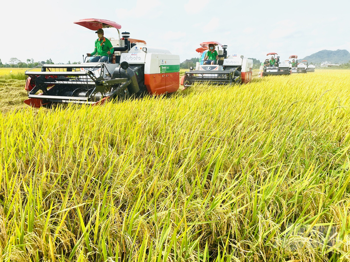 Minister Le Minh Hoan advised Loc Troi Group to collaborate with farmers and facilitate the development of the rice industry. Photo: Le Hoang Vu.