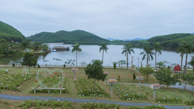 Mô hình du lịch sinh thái, gần gũi thiên nhiên tại Hòn Mát chiếm được thiện cảm của du khách gần xa. Ảnh: Khôi An.