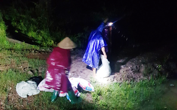Người dân xã Hoa Thủy hộ đê cứu lúa trong đêm mưa. Ảnh: X.Hòa.