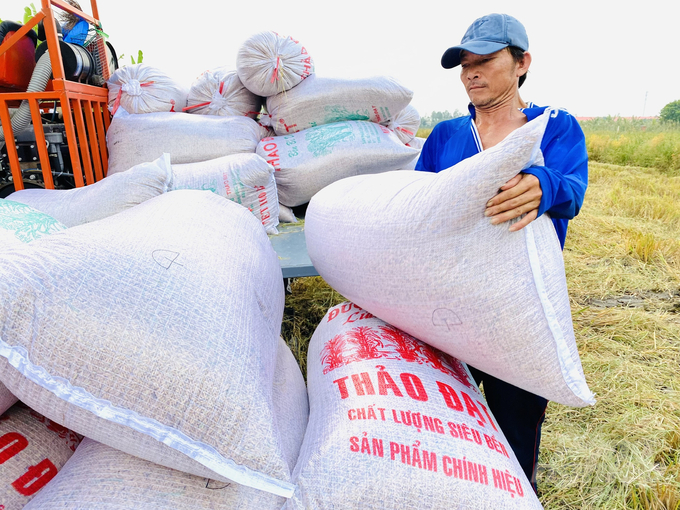 An Giang  once made a breakthrough by shifting from a subsidized economiy mindset to a market economy mindset. This initiative was replicated by the central government in other provinces. Photo: Le Hoang Vu.